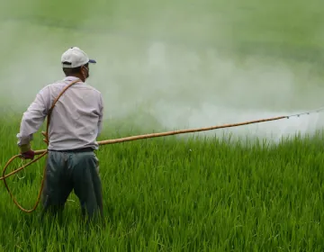 Man applying pesticides